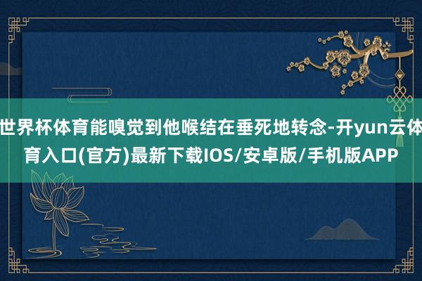 世界杯体育能嗅觉到他喉结在垂死地转念-开yun云体育入口(官方)最新下载IOS/安卓版/手机版APP