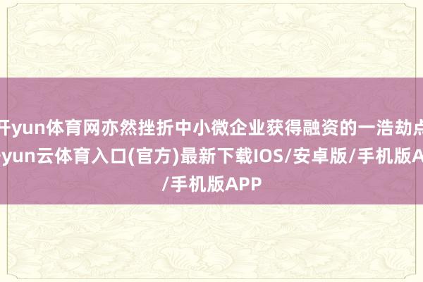 开yun体育网亦然挫折中小微企业获得融资的一浩劫点-开yun云体育入口(官方)最新下载IOS/安卓版/手机版APP