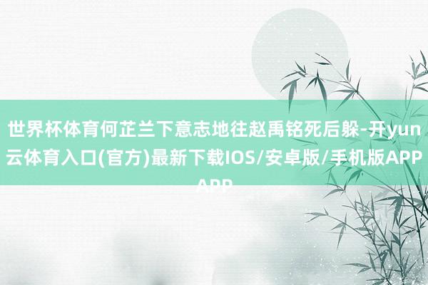 世界杯体育何芷兰下意志地往赵禹铭死后躲-开yun云体育入口(官方)最新下载IOS/安卓版/手机版APP