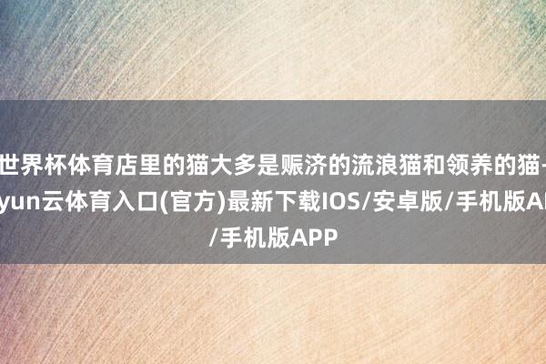 世界杯体育店里的猫大多是赈济的流浪猫和领养的猫-开yun云体育入口(官方)最新下载IOS/安卓版/手机版APP