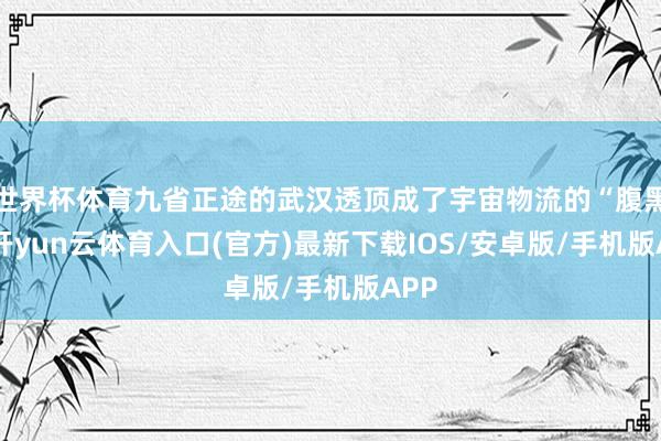 世界杯体育九省正途的武汉透顶成了宇宙物流的“腹黑”-开yun云体育入口(官方)最新下载IOS/安卓版/手机版APP