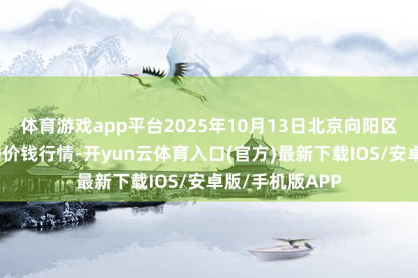 体育游戏app平台2025年10月13日北京向阳区大洋路详尽商场价钱行情-开yun云体育入口(官方)最新下载IOS/安卓版/手机版APP