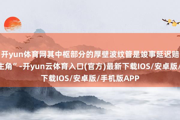 开yun体育网其中枢部分的厚壁波纹管是竣事延迟赔偿功能的“主角”-开yun云体育入口(官方)最新下载IOS/安卓版/手机版APP